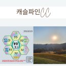 파인골프 | 4월 급 조인 , 여주 캐슬파인 골프 라운드 후기