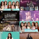 전지적 참견 bnt뉴스