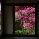 김명관 고택 뉴시스