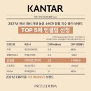 인셀덤월드 - 포항시 남구 | 인셀덤월드