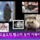 금나래동물병원 이미지