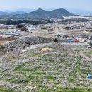 선웅농원 이미지