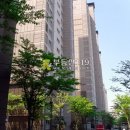 장덕로 이미지