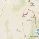 은행나무공원 이미지