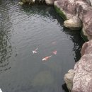 소이면사무소 이미지