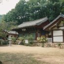 강동로-16 Daum카페