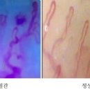 장은송천비솔 - 거제시 고현로4길 48 | 장은송천비솔