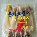 (청정제주도)차귀도 준치 판매합니다 이미지