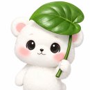 종명식당 이미지