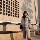 바른반려견센터 이미지