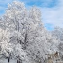 광덕근린공원 이미지