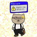 235 | 퓨마 x 로제 스피드캣 레더 화이트 235 후기~