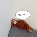 세림노래방 | 해가 뜨기 전 새벽이 가장 어두우니까