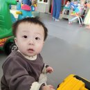 키즈몽 Daum카페
