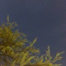 쿵짝 두번째 이야기 얼쑤 이미지