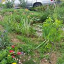 동춘농장 이미지