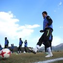 가자남쪽나라 이미지