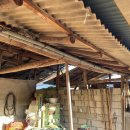 대정1리 이미지