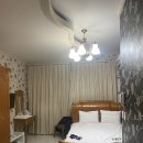 산정파인트리