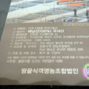 땅끝식객영농조합법인 이미지