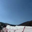 250221 스노우보드, 곤지암 스키장 내부 샵 기계 왁싱/엣징 후기