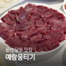 육회 뭉티기에 진심인 여자 | 울산 달동 술집 예랑뭉티기 삼산동 육회 맛집