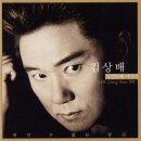 김상배