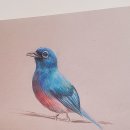 꿈꾸는화가미술학원 이미지