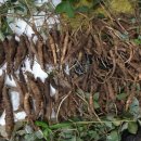 탕곡리 마을회관 이미지