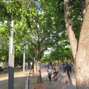 대구관광정보센터 이미지