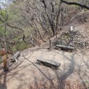 팔야2리 Daum카페
