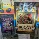 ONE PIECE WORLD FIGURE COLOSSEUM 조형왕 정상 결전 2025