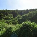 대운상대길 이미지