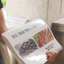 (특강)수묵담채화 이미지