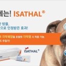 봉화약국 이미지