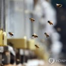 수림자원 이미지