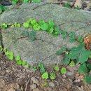 약수터 주유소 이미지