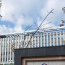 글로벌국제행정사사무소 이미지