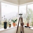 플렌테리어 이미지