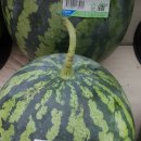 우강농협 하나로마트 이미지