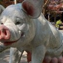 양수콩나물국밥 이미지