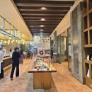 인터컨티넨탈 알펜시아 평창 리조트 | 강원도 5성급 호텔 호캉스 평창 알펜시아 리조트 인터컨티넨탈 조식 옥시라운지 후기