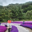 목화공방스테이 이미지