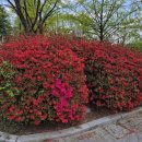 일상을 기록하는 어반 스케치 이미지