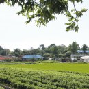 세븐일레븐평택포승석정점 | 평택시(平澤市) 지명유래 - 동洞지역(1)(2)