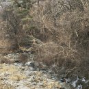 필그림 | 가평 필그림하우스 2월 방문 후기(숙박/식사/카페2곳)