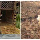 아버지목장 이미지