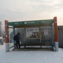 어지미 이미지