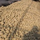 총각농장 이미지