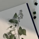 테르베르트(Terre Verte)